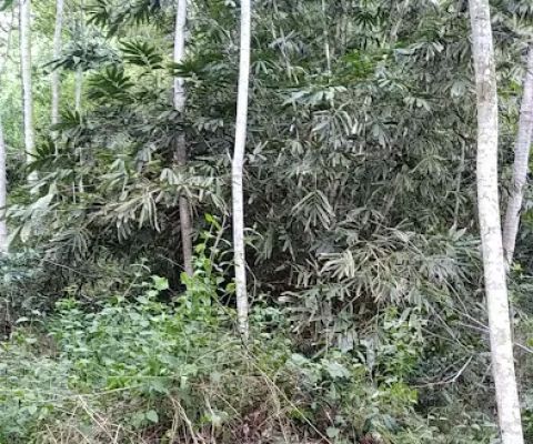 Bukit Tumenggungan