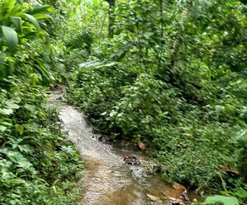 Tanjakan Jurang Rangkok