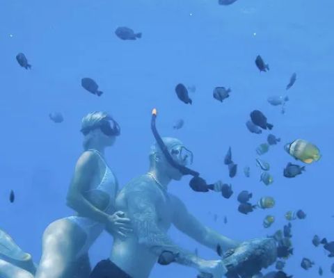 Underwater bikes
