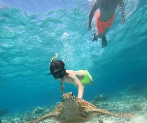 Beautifull under water