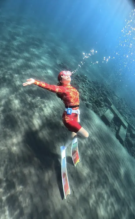 Arlan underwater photo video and guide 0