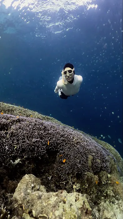Arlan underwater photo video and guide 1