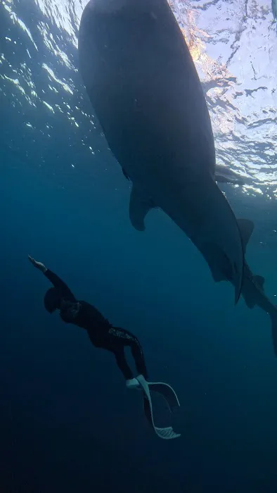 Arlan underwater photo video and guide 7