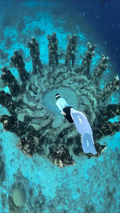 Arlan underwater photo video and guide 8