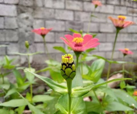 Kolam Renang J3