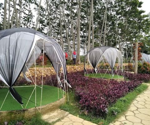 Puncak Ratu Pamekasan
