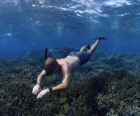 Aquaman Snorkeling Trip