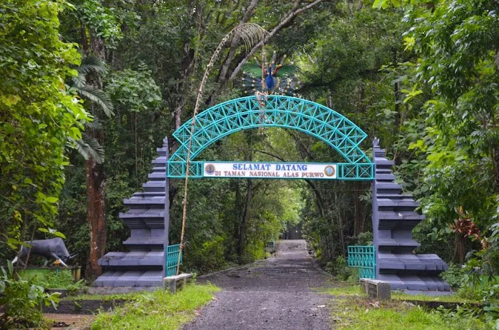 Alas Purwo National Park 3