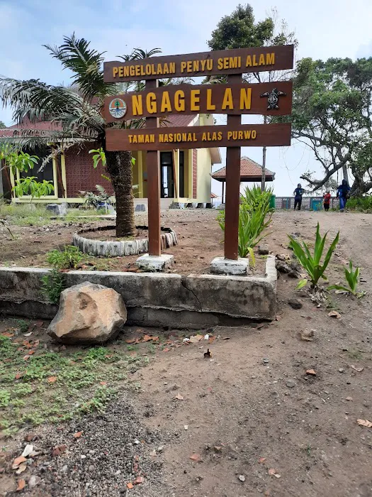 Alas Purwo National Park 1
