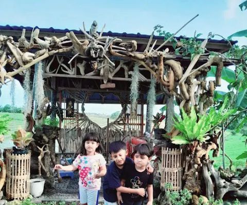adipuspa corner