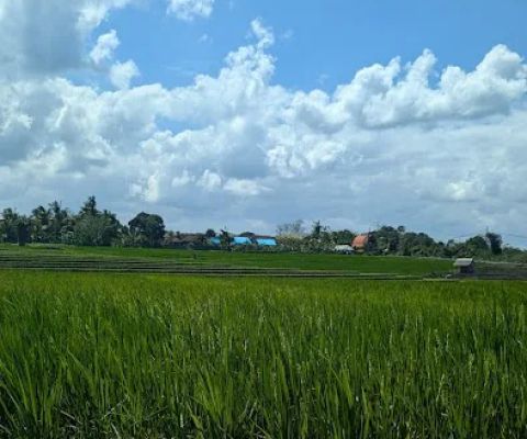 Jalan Adat Kelecung