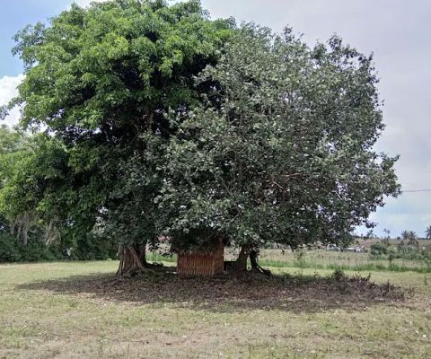 Tanah ( I Nengah Gunung )