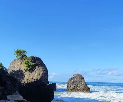 Pringjono the Natural Beach
