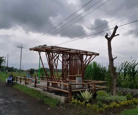 Desa Berdaya Kedungcaluk (taman kingkong)