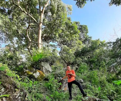 Puncak Matoa