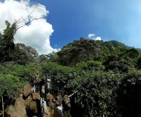 batu putih