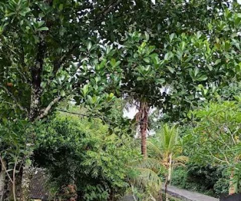 Shortcut Nyitdah -Pejaten