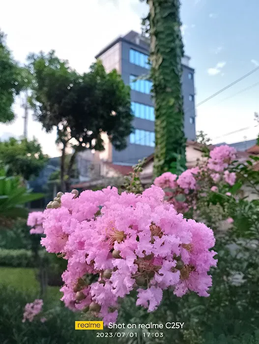 Taman Kalongan 0