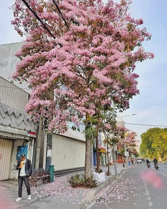 Taman Kalongan 1