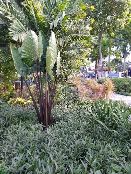 Taman Kalongan 5