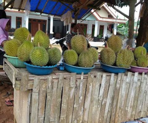 Lapak Durian Mb' Nur