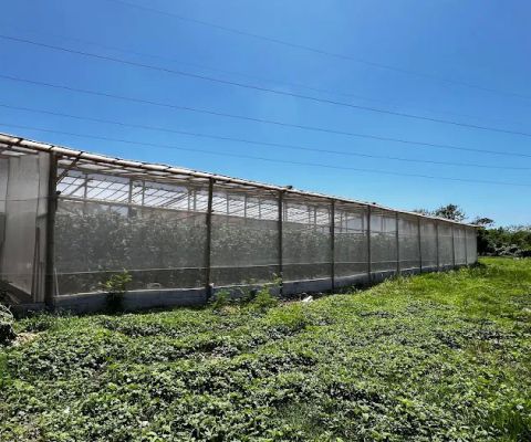 Melonking Hydroponic Farm