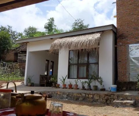 Lotoh homestay