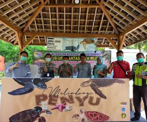 Edukasi Konservasi Penyu Pantai Serang