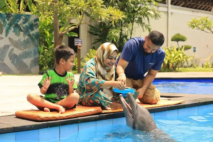 Bali Dolphins Tour & Dolphins Watching 0
