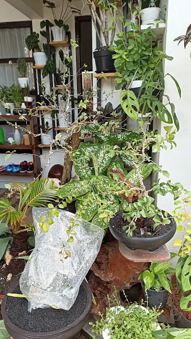 kirani's garden channel 0