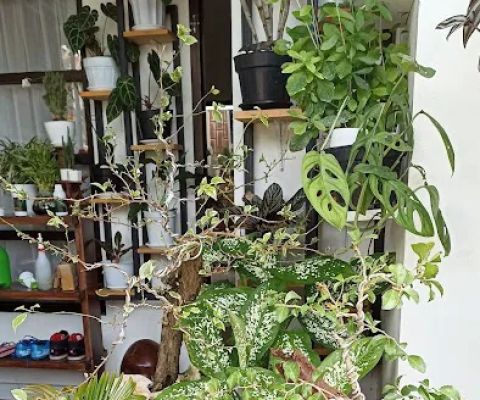 kirani's garden channel