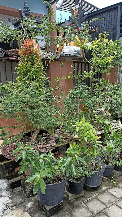 kirani's garden channel 5