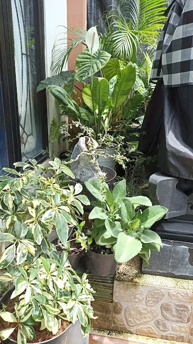 kirani's garden channel 2