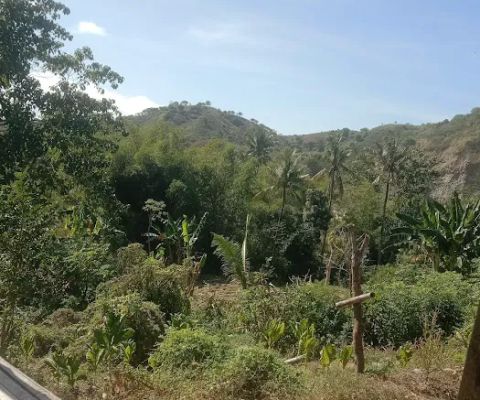Gunung asam satum