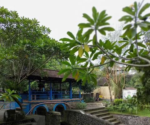Galery Powerfull Bonsai Bali