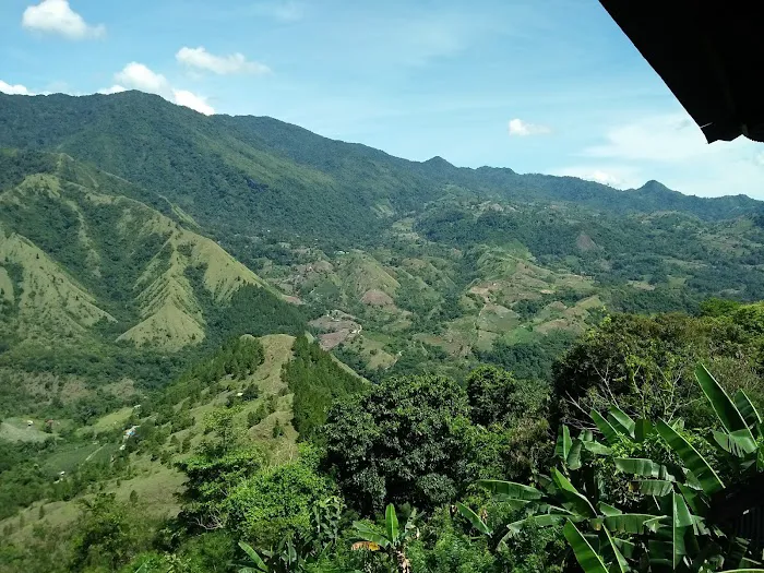 Pare pare Sulawesi selatan 7