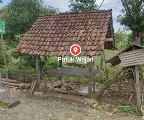 Putuk Wajan