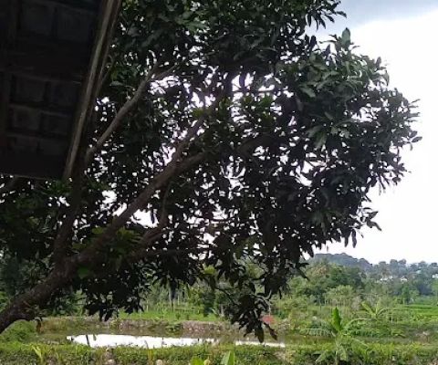 Wisata Lembah Beloam