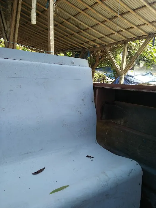 Mangrove Taman Sari 6