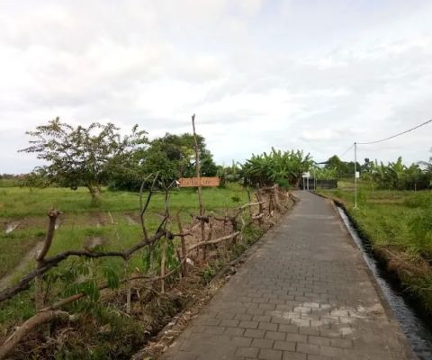 Konservasi Jalak Bali Peguyangan