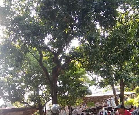 TRETAN KAK MAT PANJUNAN