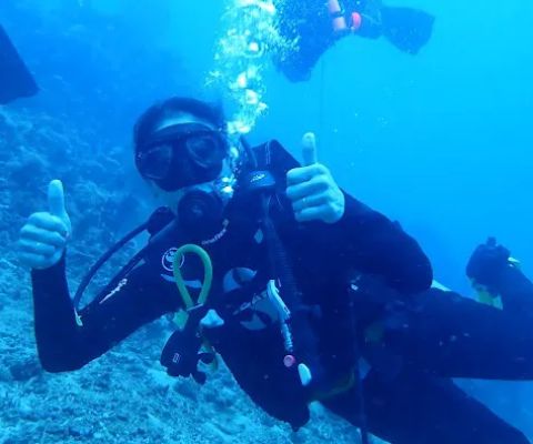 DBS Dive