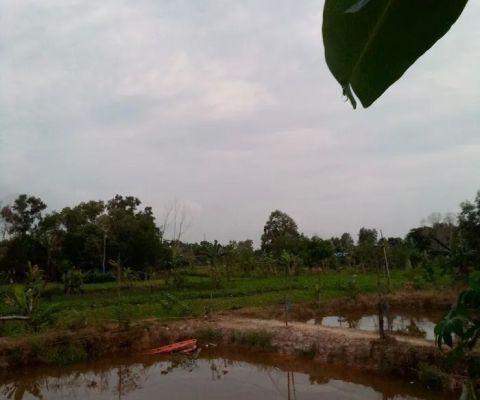 Kolam dan kebun Pandu wijaya