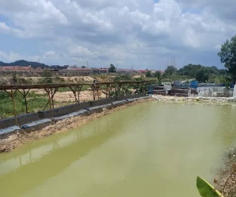 Kolam pancing CP m