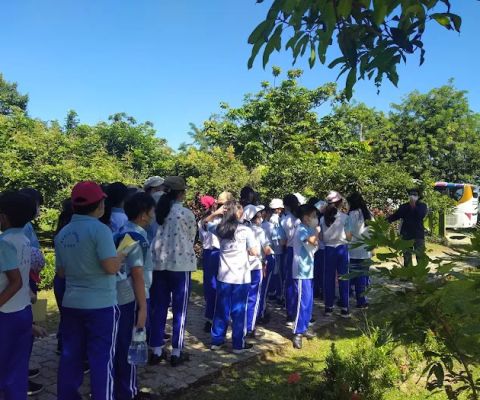 Agribisnis BP bt