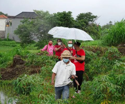 Eko Wisata Subak Ubung Denpasar Bali