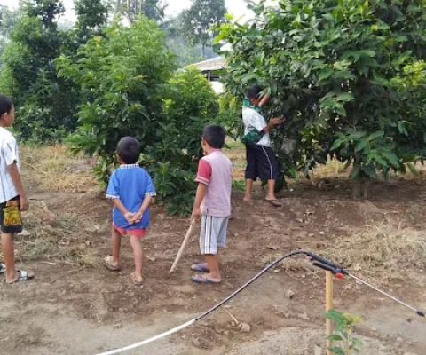 ABE Fruits Garden Karanggayam