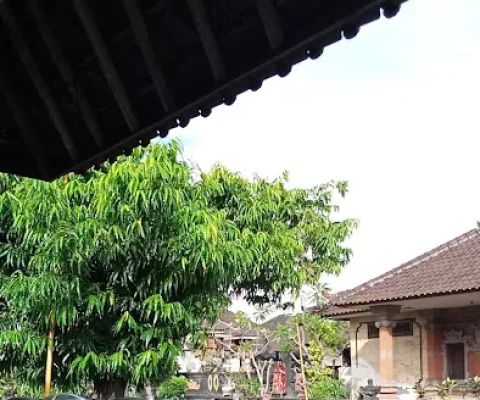 Dedi House Village