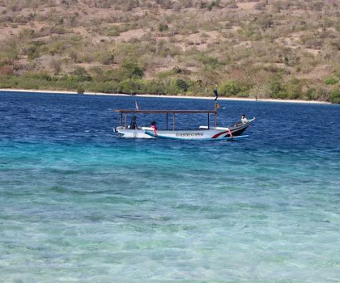 Resort Pulau Menjangan Balai Taman Nasional Bali Barat