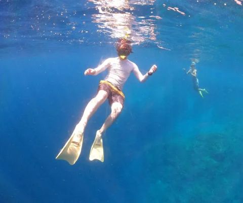 Mr. Franky dive & snorkling